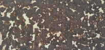 Wandkork Cream Chocolate - 3